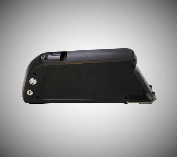 Dolphin battery pack2.png