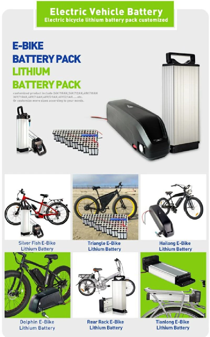 Electric Vehicle Battery