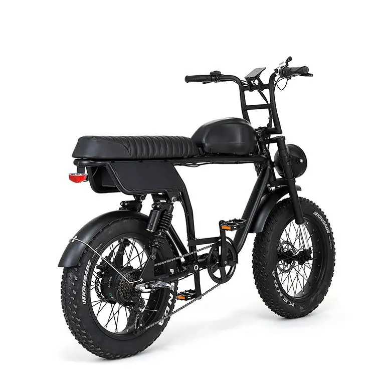 फैट टायर इलेक्ट्रिक साइकिल